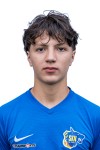 Vekillski